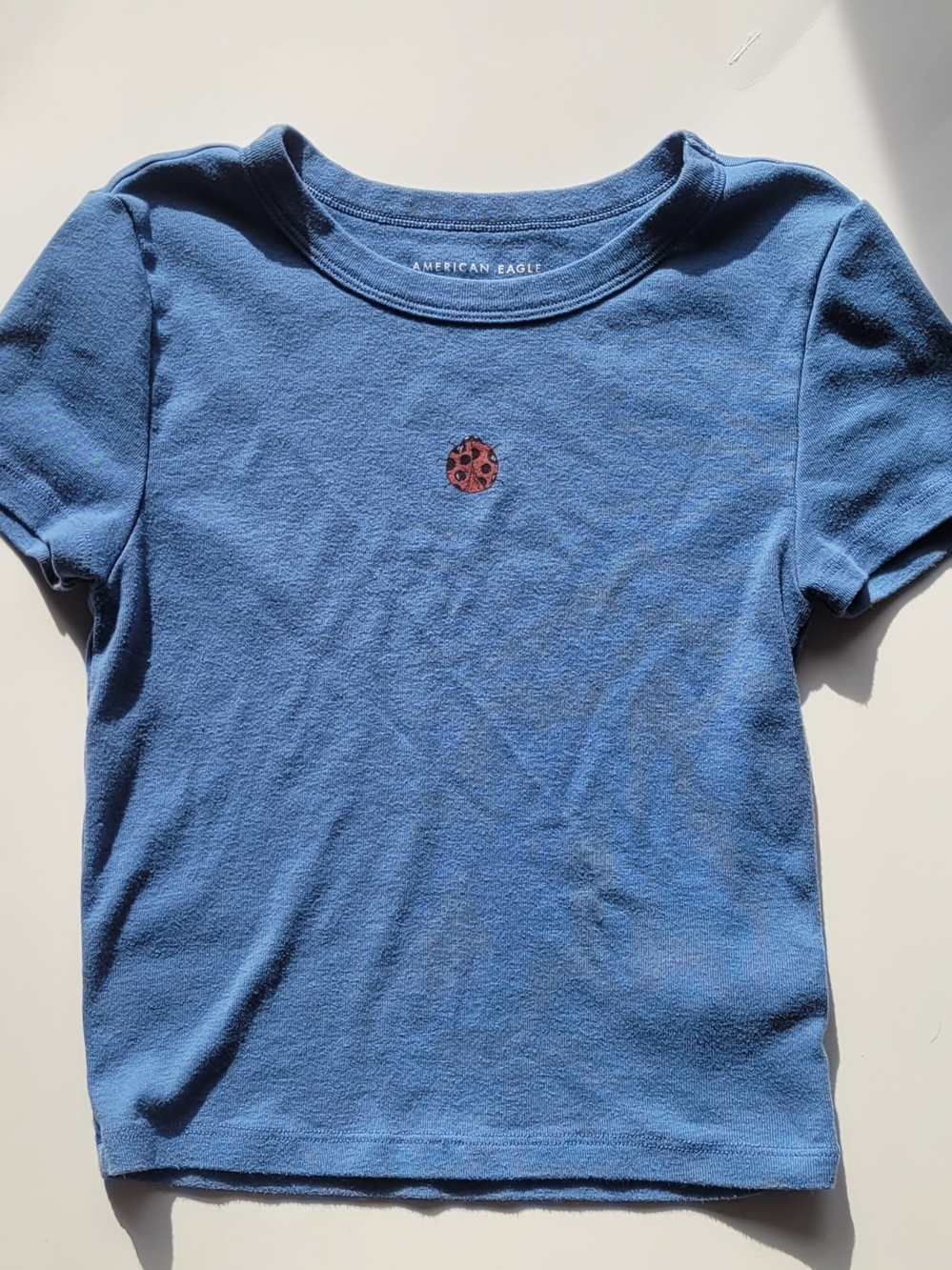 American Eagle Outfitters Blue Fitted Baby Tee with Ladybug